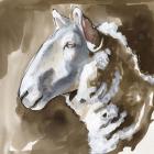 Side Eye Sheep II