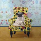 Pug-a-dots