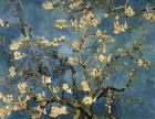 Blossoming Almond Tree, Saint-Remy, c.1890