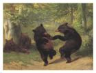 Dancing Bears