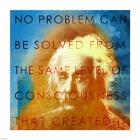 Einstein – No Problem Quote