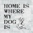 Home Is Where My Dog Is