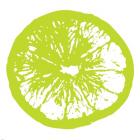 Lime Orange Slice