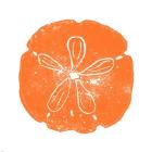 Orange Sand Dollar