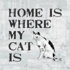 Home Is Where My Cat Is