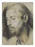 Study of the Head of a Bearded Man