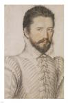 Portrait of a Bearded Man Wearing a Slashed Doublet