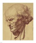 Study of the Head of an Old Man