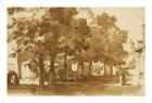 A Market Scene Under Trees in Katwijk