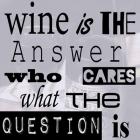 Wine is the Answer Who Cares What the Question Is
