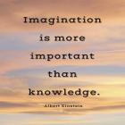 Imagination