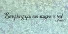 Everything You Can Imagine - Picasso