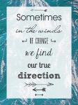 Sometimes in the Winds of Change We Find Our True Direction