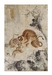 Family of Tigers