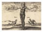 The Greek Gods Tryphon