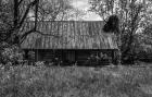 Abandoned Log Home