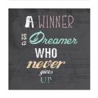 A Winner is a Dreamer Who Never Gives Up - Nelson Mandela Quote