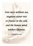 Iron Rusts Without Use -Da Vinci Quote