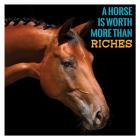 Horse Quote 6