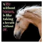 Horse Quote 7