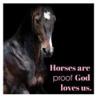 Horse Quote 8