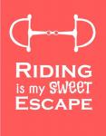 Riding is My Sweet Escape - Orange