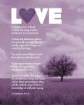 Corinthians 13:4-8 Love is Patient - Lavender Field
