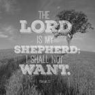 Psalm 23 The Lord is My Shepherd - Field