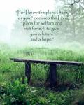 Jeremiah 29:11 For I know the Plans I have for You (Wooden Bench)