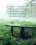 Mark 12:30 Love the Lord Your God (Bench)