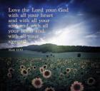 Mark 12:30 Love the Lord Your God (Sunflowers)