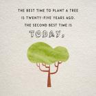 The Best Time to Plant a Tree