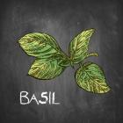 Basil on Chalkboard
