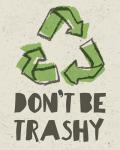 Don't be Trashy 2
