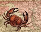 Maryland's Jumbo Crabs