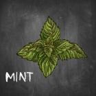 Mint on Chalkboard