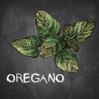 Oregano on Chalkboard