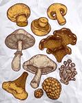 Mushroom Variation