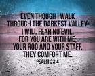 Psalm 23:4