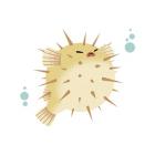 Sea Creatures - Pufferfish