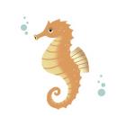 Sea Creatures - Seahorse