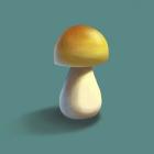 Mushroom on Teal Background Part II