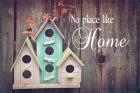 No Place Like Home Bird Houses