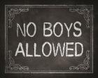 No Boys Allowed Chalkboard Background