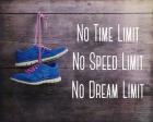 No Time Limit No Speed Limit No Dream Limit Blue Shoes