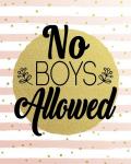 No Boys Allowed Stripes and Dots Gold