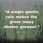 A Single Gentle Rain - Henry Thoreau Quote (Dark)