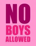 No Boys Allowed - Pink