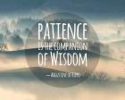 Patience Is The Companion Of Wisdom - Foggy Hills