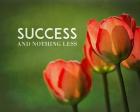 Success And Nothing Less - Flowers Color